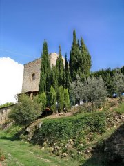 La Torre del borgo
di Collemuccioli
(13286 bytes)